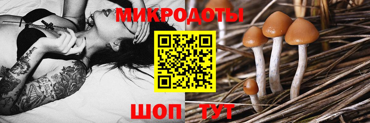даркнет сайт  Псилоцибиновые грибы мухоморы  Ачхой-Мартан  Вход с VPN  Галлюциногенные грибы прущие грибы 